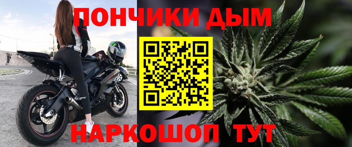 Конопля индика  Вход с VPN  Нижний Новгород  Шишки марихуана конопля  Шишки марихуана White Widow 